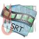 SrtEdit V6.3.2012.1001官方版