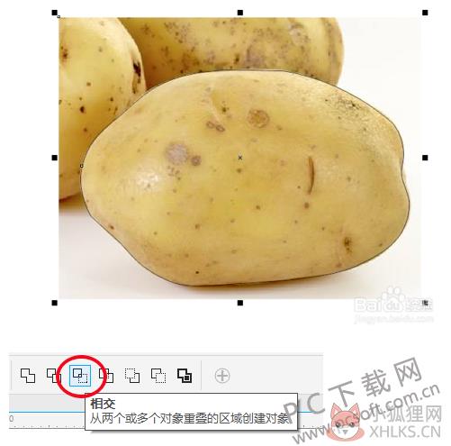 CorelDRAW 2018 绿色版