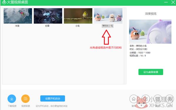 火萤视频桌面 v5.2.5.9最新版