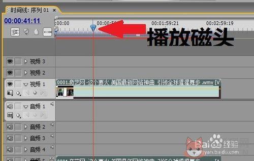 Adobe Premiere Pro CS5中文版
