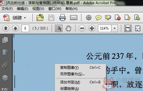 Adobe Acrobat X  Pro v10.0正式版