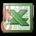 Excel 2010完整版