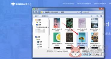 Removebg v1.0.3绿色版