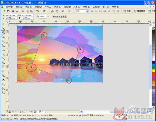 CorelDRAW X4正式版绿色下载