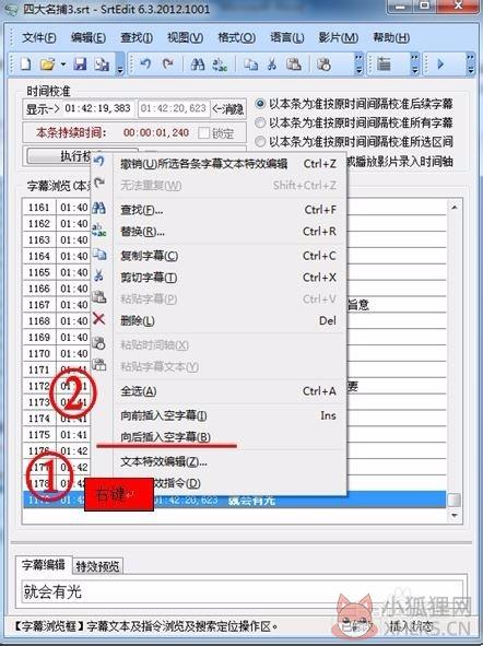 SrtEdit V6.3.2012.1001官方版