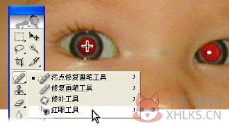 photoshop cs2绿色版 附序列号