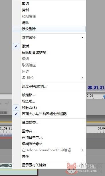 Adobe Premiere Pro CS5中文版