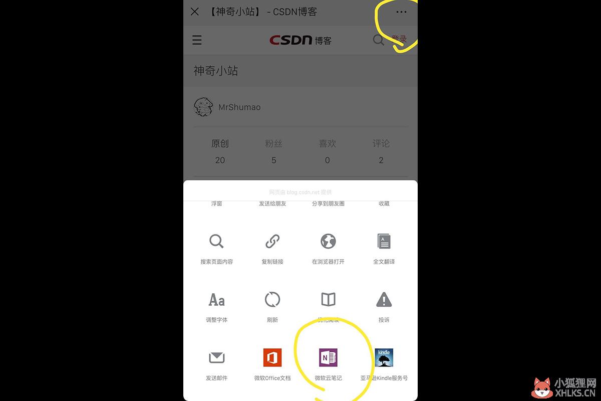 OneNote 2019简体中文版