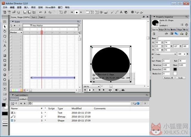 Adobe Director 12中文版