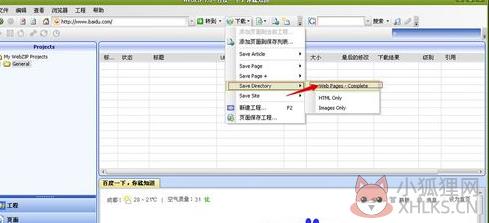 WebZip V7.1.2.1052绿色版