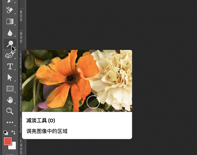 Adobe Photoshop CC 2018绿色最新版