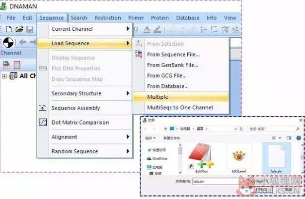 DnaMan V9.0绿色版
