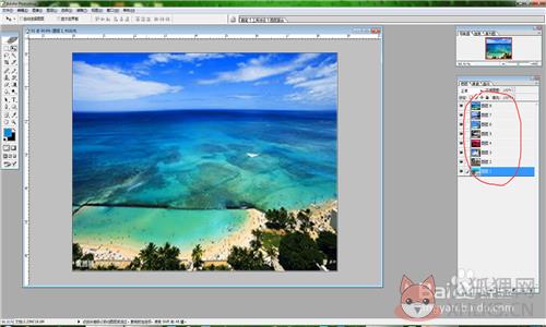 Adobe Director 12完整版