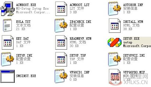 setup.exe v2021 最新版