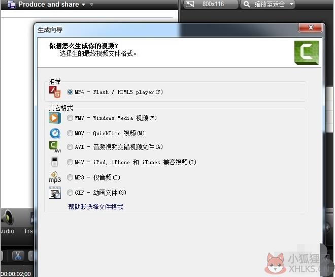 Camtasia Studio 9 汉化版