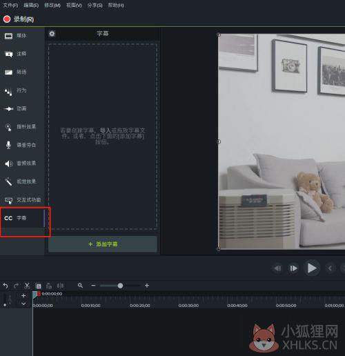 Camtasia Studio 2021中文版