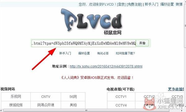 硕鼠FLV视频下载器 V0.4.8.10绿色版