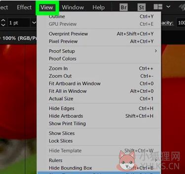 Adobe Illustrator CS3绿色版