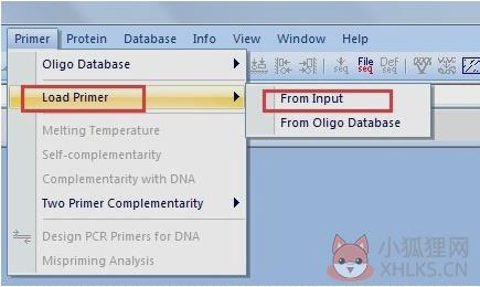 DnaMan V9.0绿色版