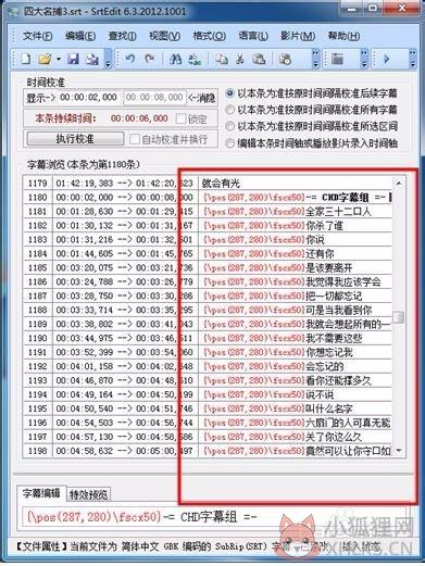 SrtEdit V6.3.2012.1001官方版