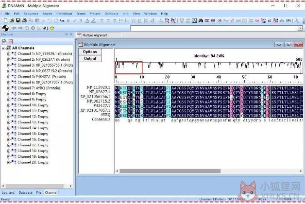 DnaMan V9.0绿色版