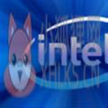 Intel Graphics Driver v30.0.100.9955官网版