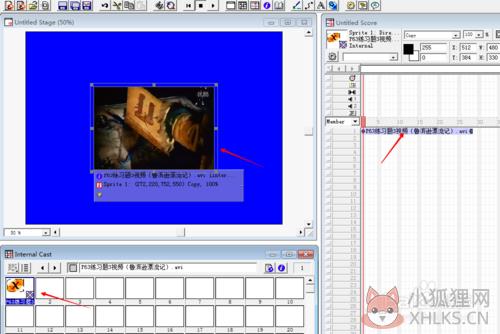 Adobe Director 12完整版