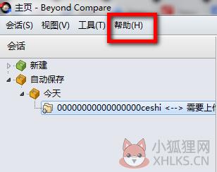 Beyond Compare V4.3.4.24657最新版