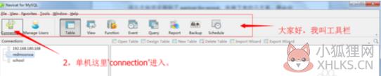 Navicat for MySQL 15.0.26.0最新版