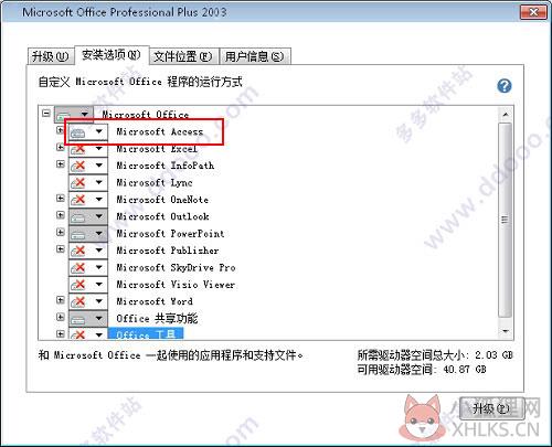 Microsoft Access 2003 官网版