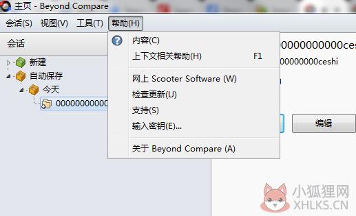 Beyond Compare V4.3.4.24657最新版