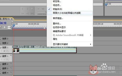 Adobe Premiere Pro CS5中文版