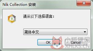 Nik Collection 2020中文版