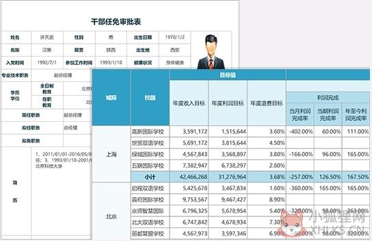 ActiveReports(报表开发工具) v11.2最新版