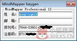 MindMapper V2021最新版
