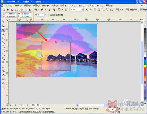 CorelDRAW X4正式版绿色下载