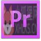 Adobe Premiere Pro CS6中文版