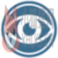 Steelray Project Viewer V6.6.0稳定版