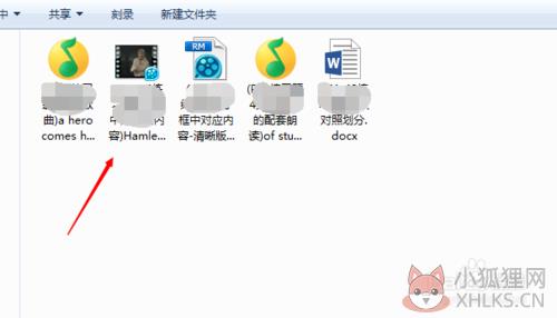 Adobe Director 12完整版