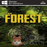 森林(the forest)