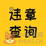 交管12121