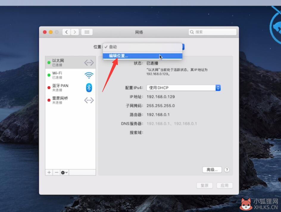 电脑打不开网页是什么原因(12)