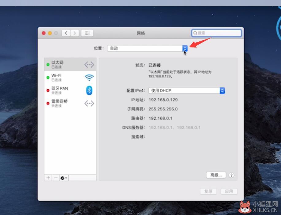 电脑打不开网页是什么原因(11)