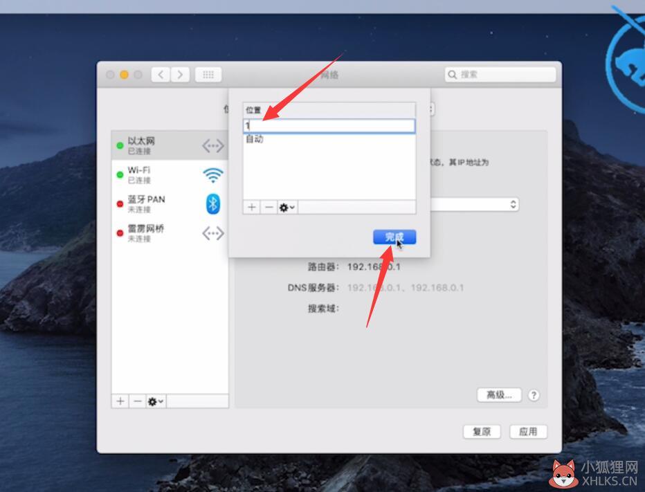电脑打不开网页是什么原因(14)