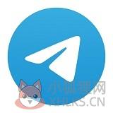 纸飞机国际版app
