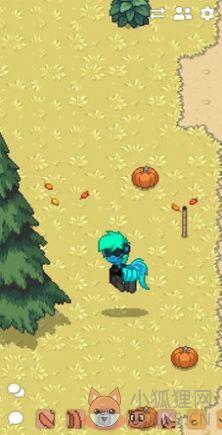 \'pony