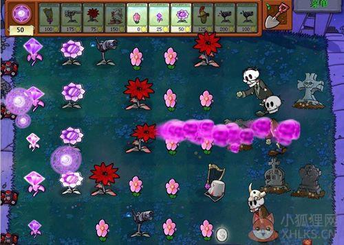\'植物大战僵尸(魔幻版)\'