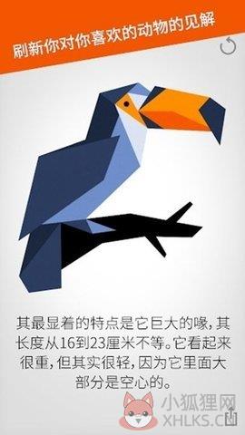 \'七巧板拼图(Cardinal