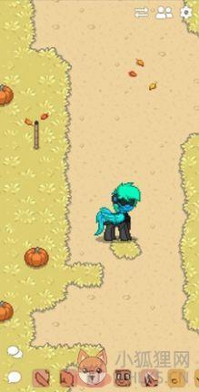 \'pony