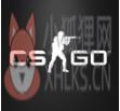 csgo茄子语音包